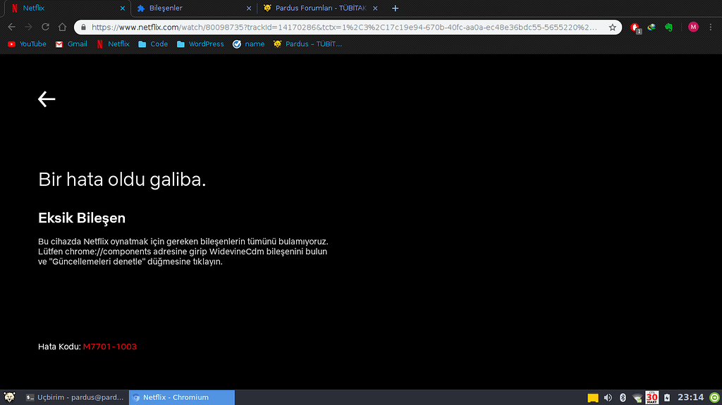 Chromium Netflix - Internet - Pardus Forumları - TÜBİTAK ULAKBİM