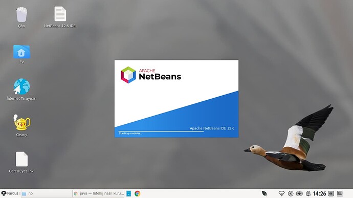 Ekran görüntüsü_NetBeans_1