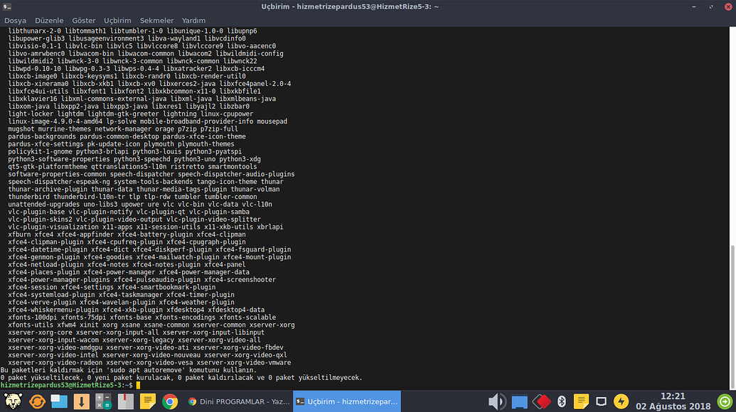 Ошибка при обработке пакета xserver xorg core. Ошибка при обработке пакета xserver xorg core