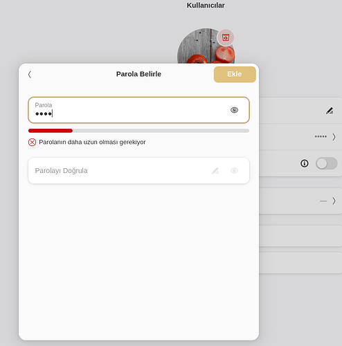 Ekran Görüntüsü 2025-12-27 14-08-59
