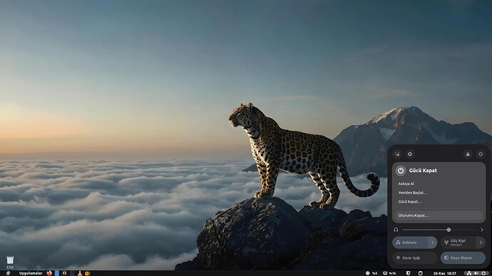 Ekran Görüntüsü 2025-11-26 18-37-48