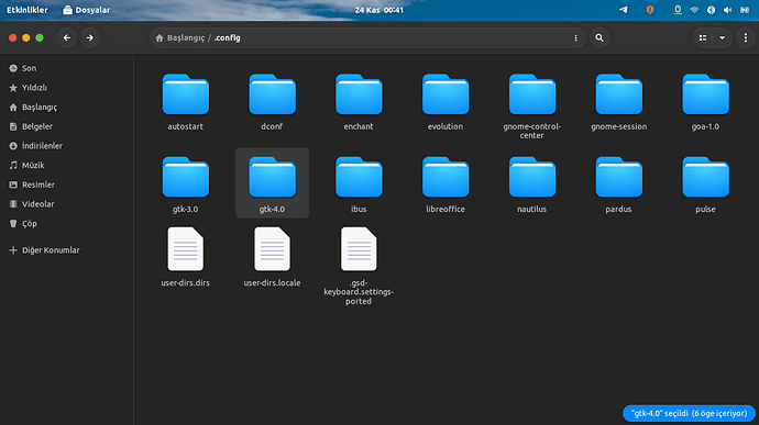 Ekran Görüntüsü - 2025-11-24 00-41-51