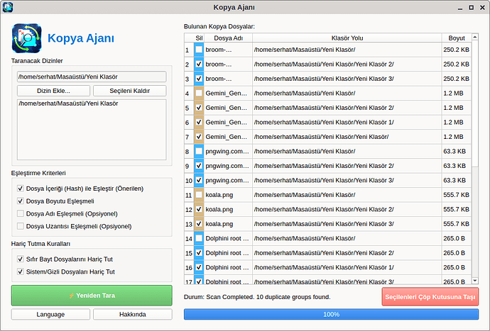 Ekran görüntüsü_2025-11-02_21-08-26