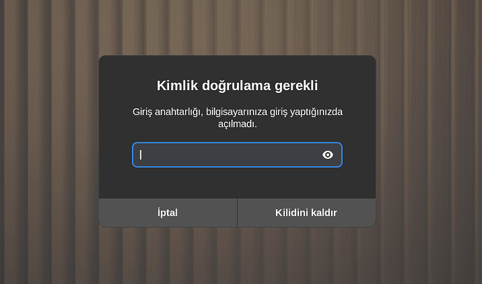Ekran Görüntüsü - 2025-06-21 17-57-39