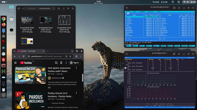 Screenshot From 2025-10-28 13-29-13