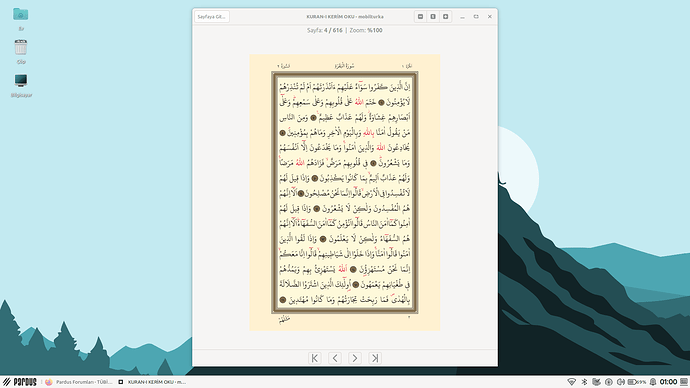 Ekran görüntüsü_2025-12-31_01-00-42