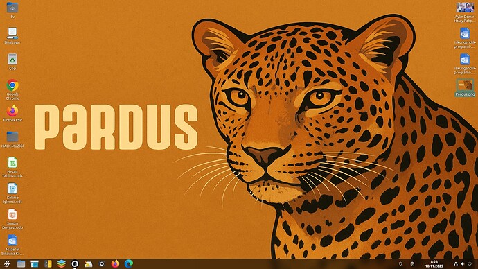 Ekran Görüntüsü 2025-11-18 08-23-29