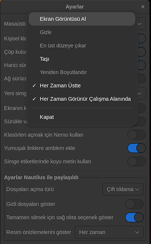 Ekran Görüntüsü - 2025-07-04 20-06-38
