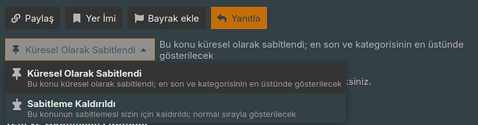 Ekran görüntüsü_2026-02-01_17-07-27