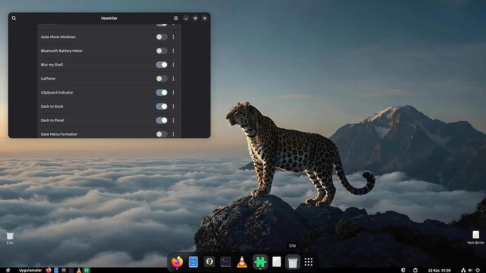 Ekran Görüntüsü 2025-11-22 01-39-06