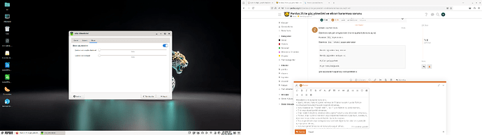 Ekran görüntüsü_2026-01-23_21-09-42