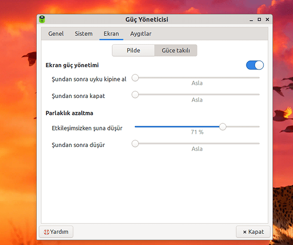Ekran görüntüsü_2026-01-29_18-17-47