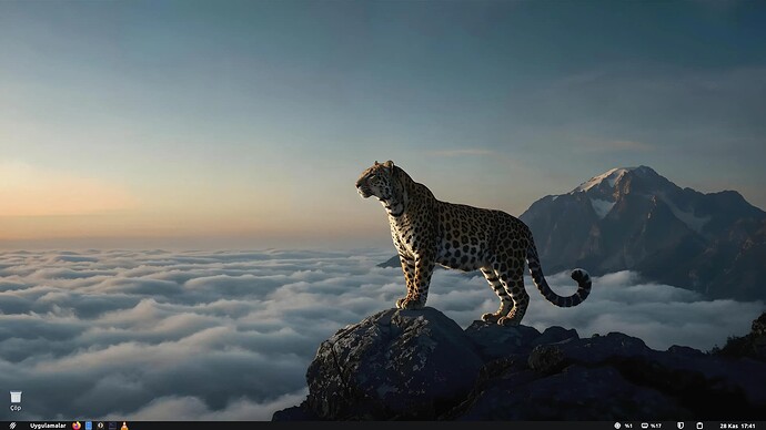 Ekran Görüntüsü 2025-11-28 17-41-13