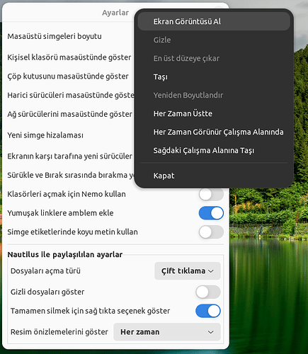 Ekran Görüntüsü - 2025-07-07 15-42-11