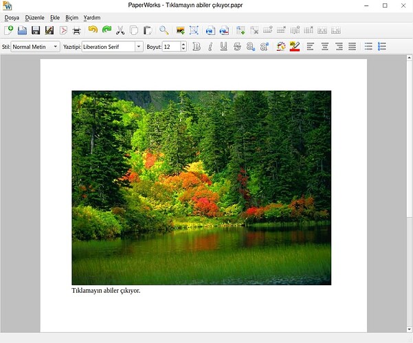 Ekran görüntüsü_2025-08-18_00-28-39