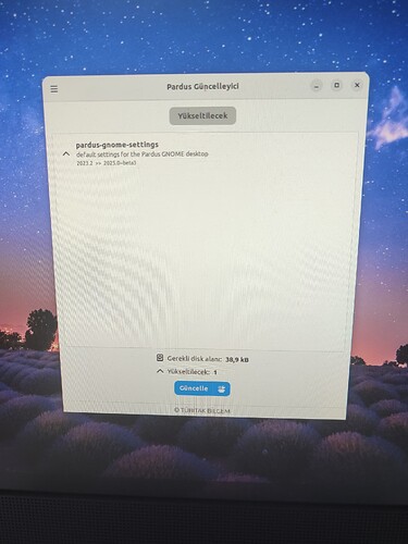 17682061237975046305706299732167