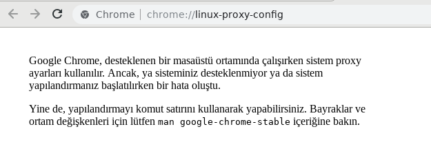 chrome_proxy_hata
